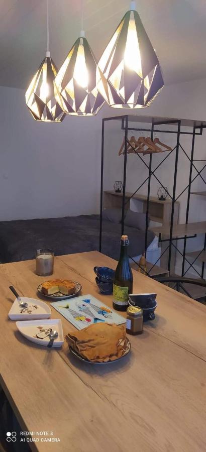 דירות קונקרנו Studio Des Thoniers מראה חיצוני תמונה